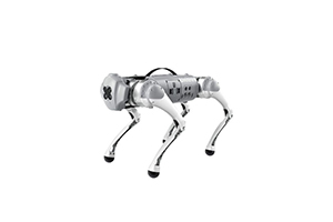Categoria-go1-robot